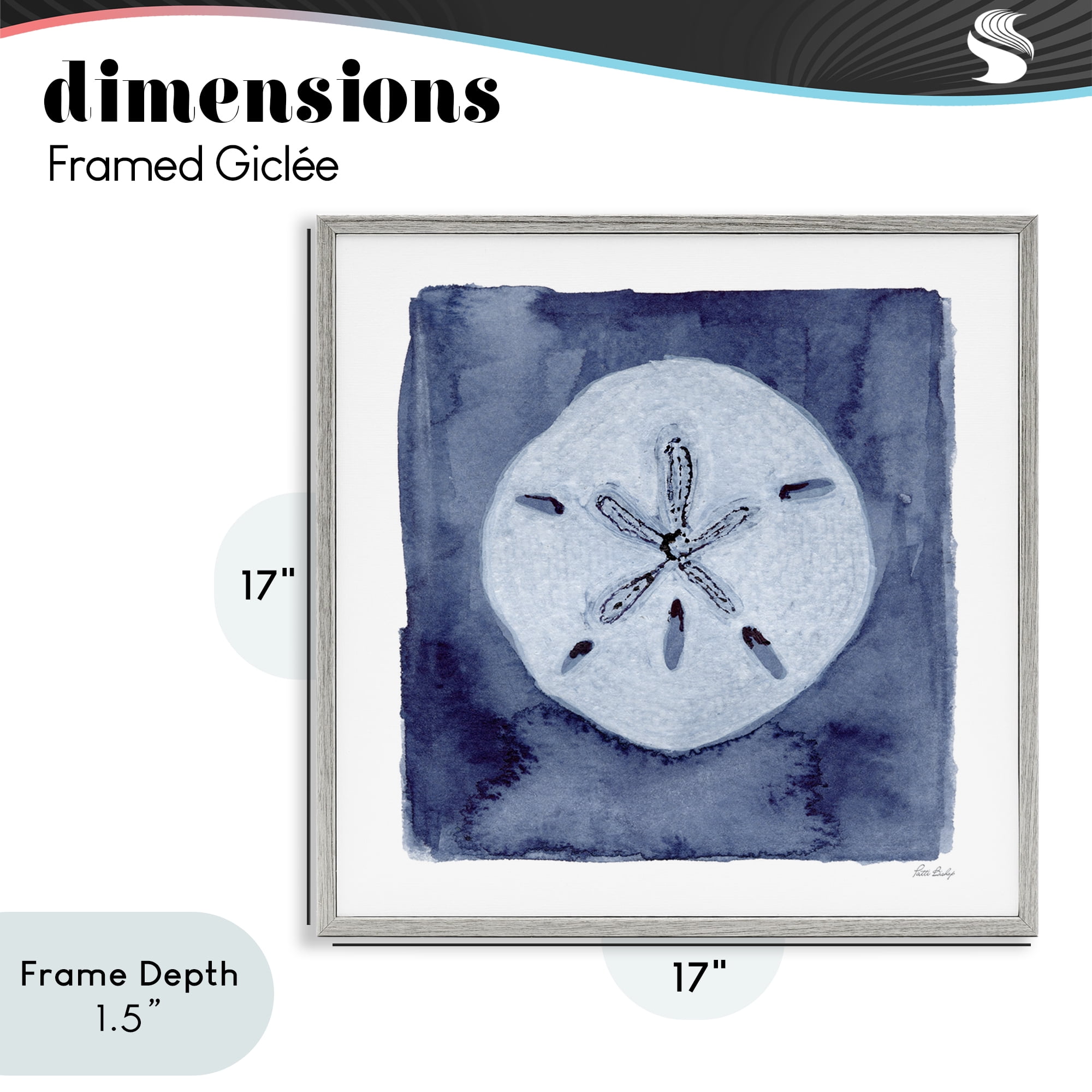 Stupell Industries White Sand Dollar on Indigo Gray Framed Giclee Art, design by Patti Bishop