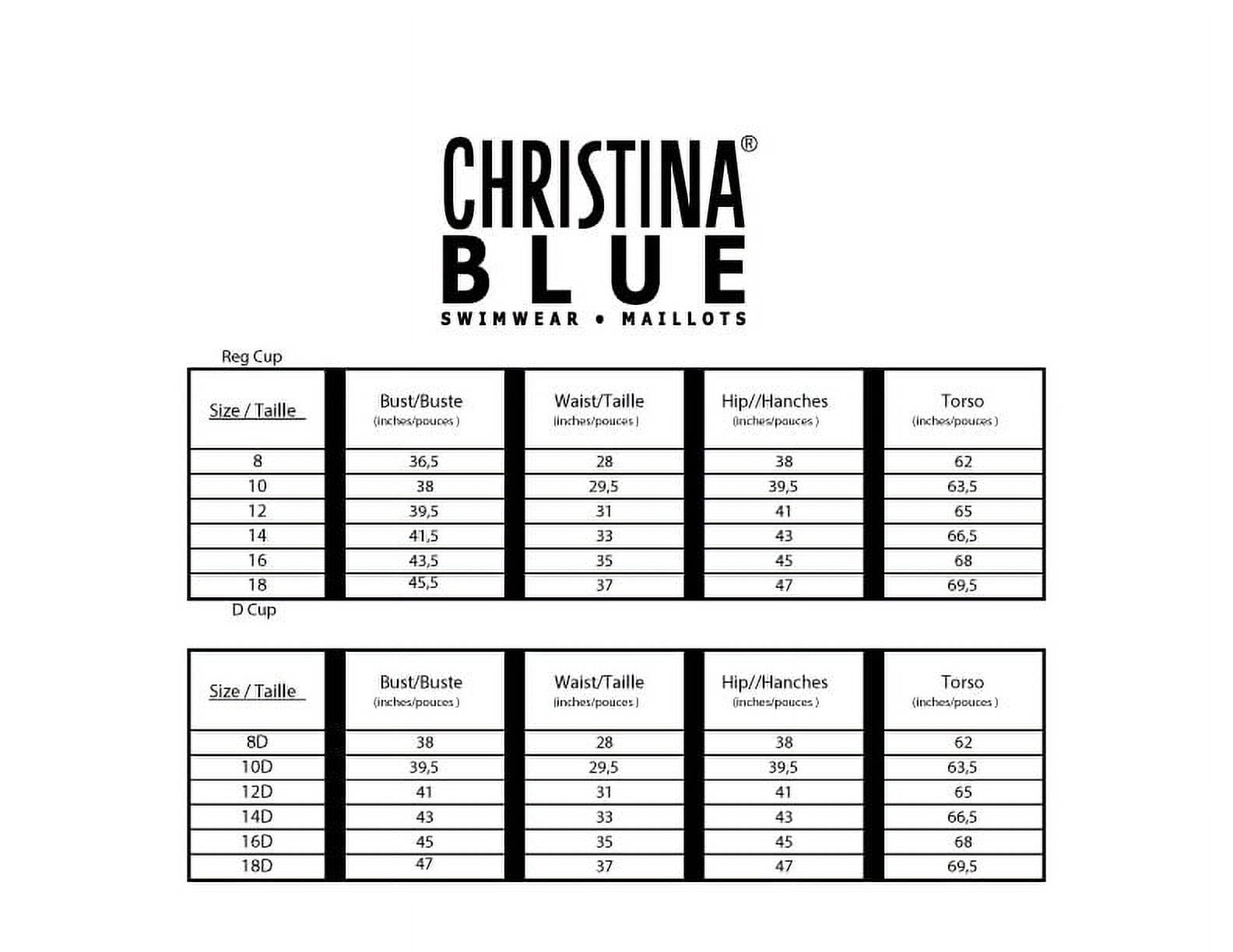 Christina Blue Full Figure Floral D-Cup Tankini Plus Size