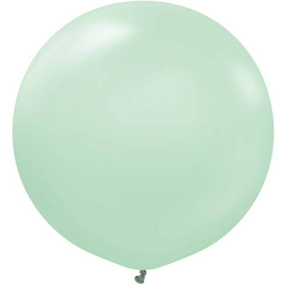 24 inch Kalisan Macaron Green Latex Balloons (2 Pack) - Party Supplies Decorations