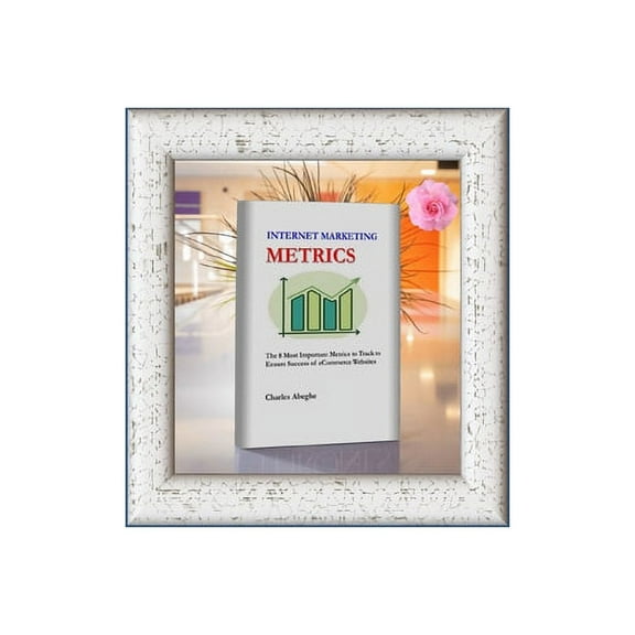 Internet Marketing Metrics : Successful eCommerce Metrics (Paperback)