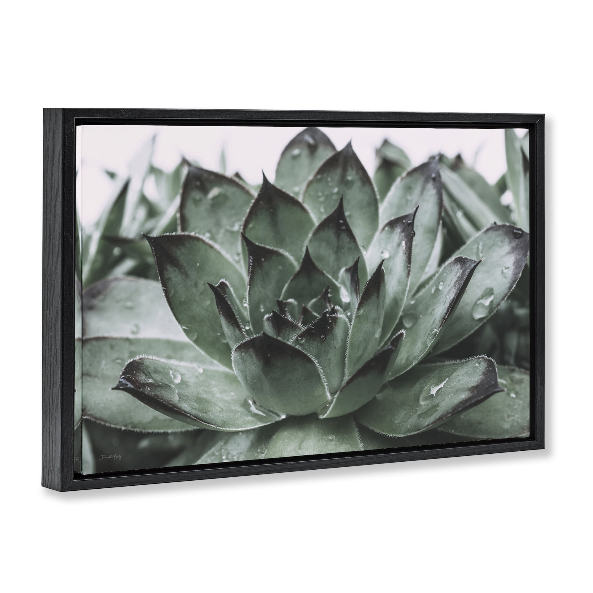 Stupell Industries Succulent with Rain Droplets Plants & Flowers Painting Black Floater Framed Canvas Art Print Wall Art, 25 x 17