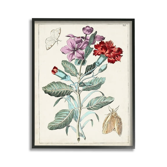 Stupell Industries Vintage Moths with Flowers Botanical & Floral Painting Black Framed Art Print Wall Art, 11 x 14