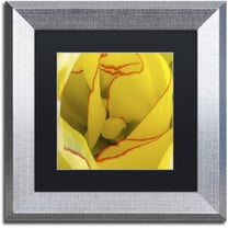 Trademark Fine Art "Inside a Beautiful Tulip" Canvas Art by Kurt Shaffer, Black Matte, Silver Frame