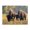 500 Pieces, variant on 500-Piece Wooden Jigsaw Puzzle for Adults - Bison Grazing Meadow Wildflowers , Fun & Challenging Brain Teaser, Stylish Home Decor & Unique Gift