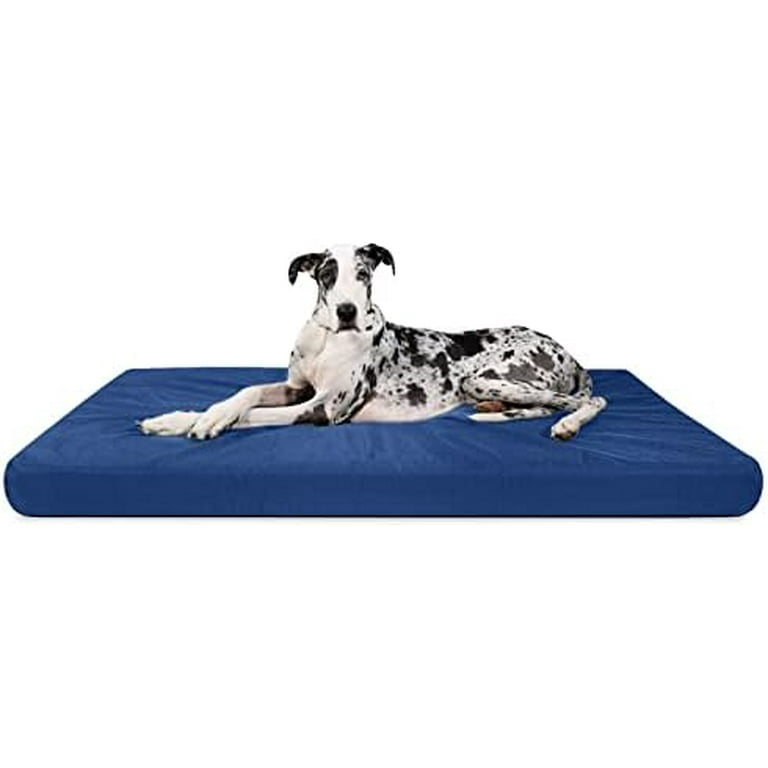 How To Keep Your Dog From Chewing His Bed