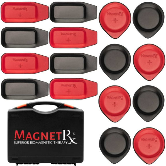 Biomagnetic Therapy Magnet Kit — Ferrite  Leather (16 Small Mixed Units)