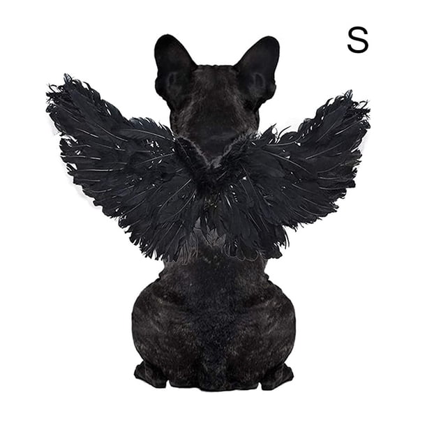 Mascota Alas De Plumas De Halloween Mascota Disfraz De Halloween Cosplay Ángel Diablo Negro Blanco Ala Para Perro Gato Conejo Cerdito Eigraketly PT001515-01