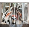 thumbnail image 1 of Farm Animal Curtains 2 Panels Set, Cute Cow Eating Grass Livestock Photo in Thailand, Window Drapes for Living Room Bedroom, 108"W X 96"L,Dark Taupe Pale Grey and Dark Peach, by Ambesonne, 1 of 3