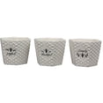thumbnail image 3 of Joyful Thankful Simply Honey Bee Planters Set of 3 Ceramic, 3 of 4