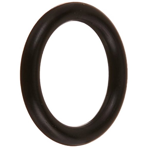 Danco 1 in. OD x 3/4 in. ID, Rubber, #15 O-Ring, 10 per Card, 96732