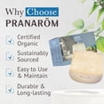 thumbnail image 3 of Pranarom - Essential Oil Diffuser - Stylish & Modern Home Essential Oil & Water Vapor Diffusing Device with Various Operating & Light Display Features (Lulu), 3 of 4
