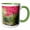Green/White, variant on 3drose, Washington State, Seattle. Autumn Color, Japanese Garden, 11oz Two-tone Red Mug
