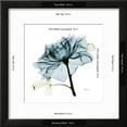 thumbnail image 3 of Teal Rose, Botanical Framed Art Print Wall Art by Albert Koetsier Sold by Art.Com, 3 of 6