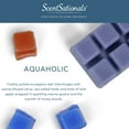 thumbnail image 6 of Aquaholic Scented Wax Melts, ScentSationals, 2.5 oz, 6 of 9