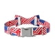 thumbnail image 4 of Elegante collar de perro de cola pequeña con lazo, collar de perro con pajarita, lindo collar de perro de regalo para mascotas con pajarita para perros, 4 of 5