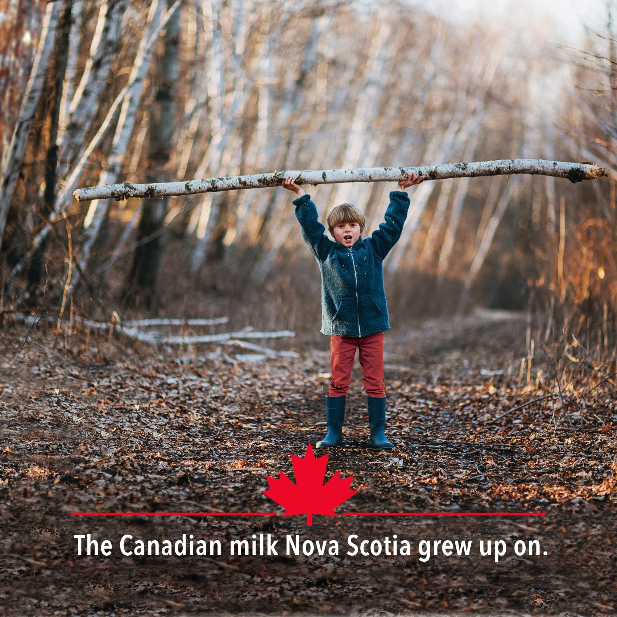 Scotsburn Lait homogénéisé 3,25 % 2L