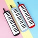 thumbnail image 4 of Sonducket Teclado Musical profesional melódico, instrumento de música, armónica de Piano portátil con bolsa de transporte, teclados para Accesorios para instrumentos musicales Verde, 4 of 6