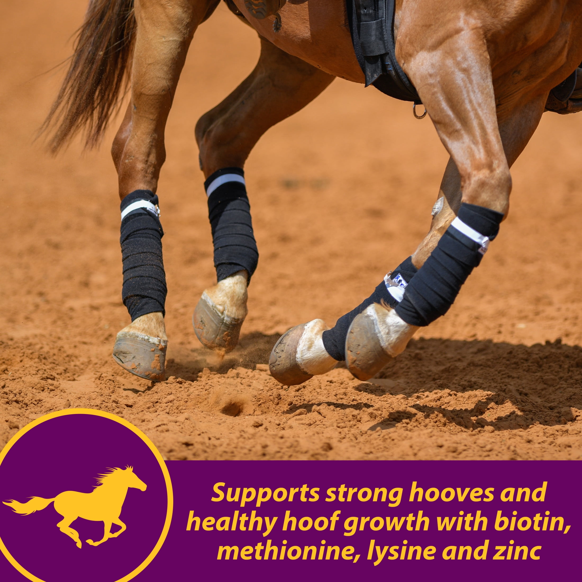 (4 pack) Horse Health Joint Combo Hoof & Coat 3.75 pounds 30 day supply