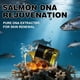 thumbnail image 2 of Sérum SKSOYT com DNA de Salmão para Rosto e Corpo 30mL (2 unidades), 2 of 8