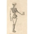 thumbnail image 3 of Bauhin, Caspar 16x24 Black Modern Framed Museum Art Print Titled - Human Skeleton with Hourglass, 3 of 5