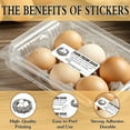 thumbnail image 3 of 180 Pcs Farm Eggs Egg Carton Labels 1x2.64 Inch(2.5x6.7cm) Eggs Collected Date Stickers Chicken Farm Fresh Eggs Stickers PET Adhesive Egg Carton Labels for Egg Carton Box Container, 3 of 9