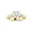 Yellow Gold, variant on Platinum 3 Carat LAB GROWN IGI CERTIFIED DIAMOND Designer Four Prong Pave Set Round Cut Diamond Engagement Ring (E-F Color SI1-SI2 Clarity 2 Ct Center)