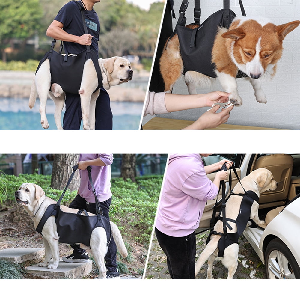 Dog sling canada online