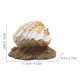 thumbnail image 2 of unbranded 1Ud De Concha Para Acuario En Resina Con De, 2 of 8