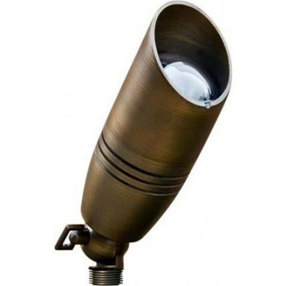 Dabmar Lighting LV235-WBS 12V MR16 Cast Brass Convex Glass Small Spot Light, 20W - Weathered Brass