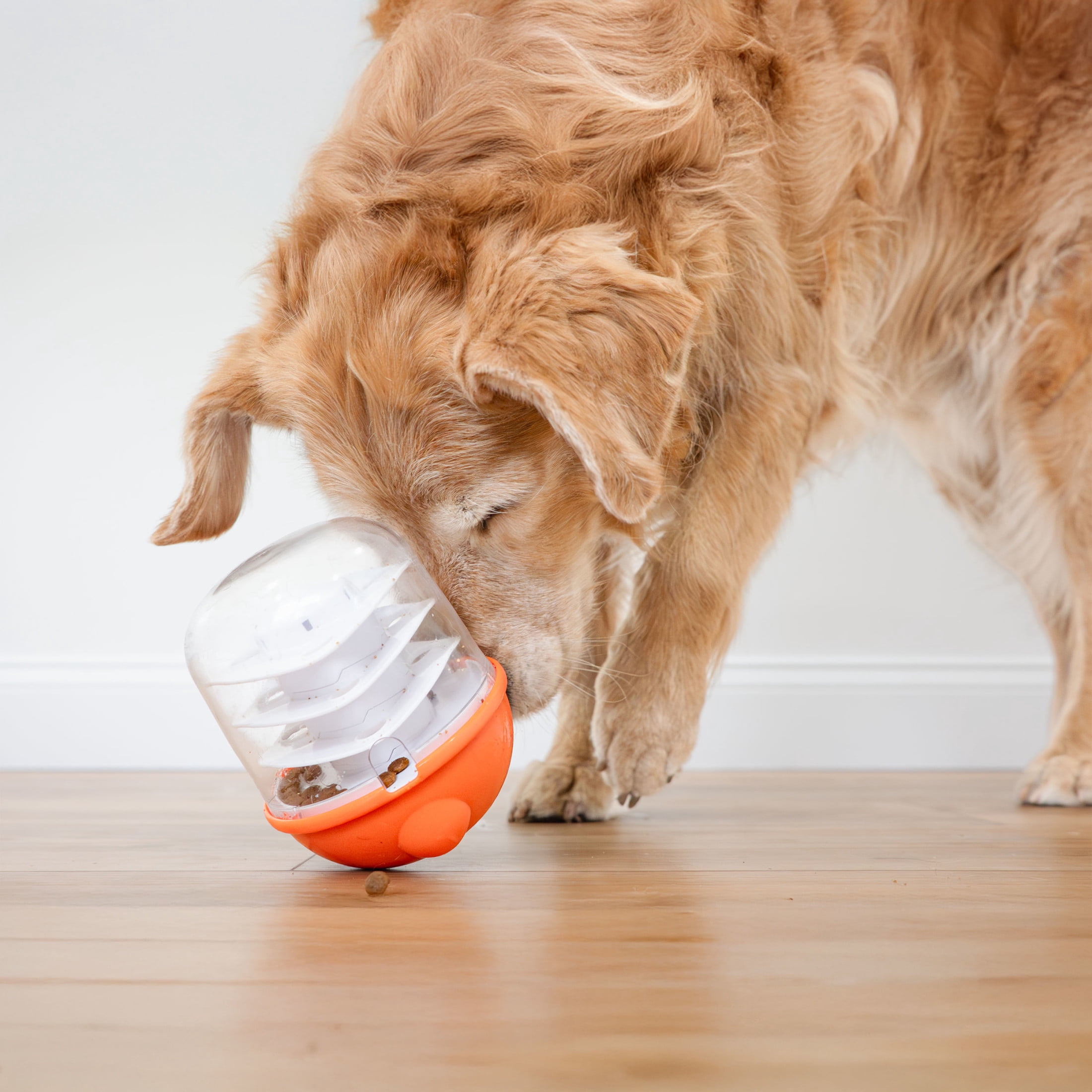 Nylabone Boop N Bobble Puzzle Treat Toy (1 Count)