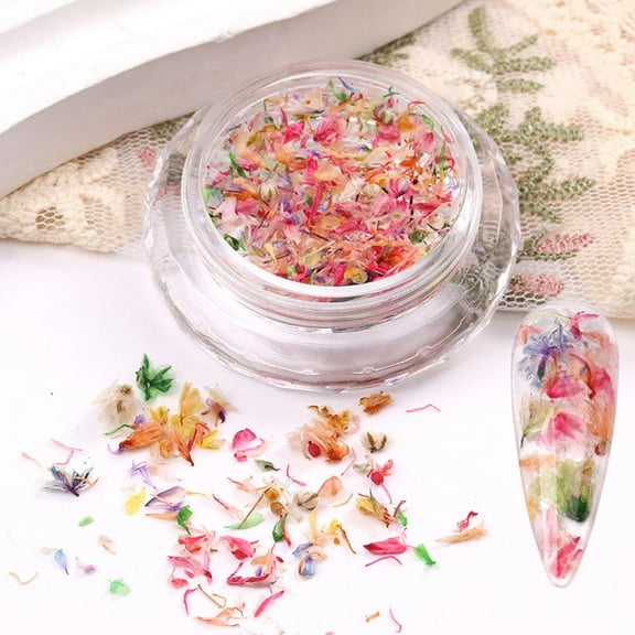 Dried Flower Nail Art Decorations Multicolor 5x5x3cm Japanese Fresh Style Floral Design