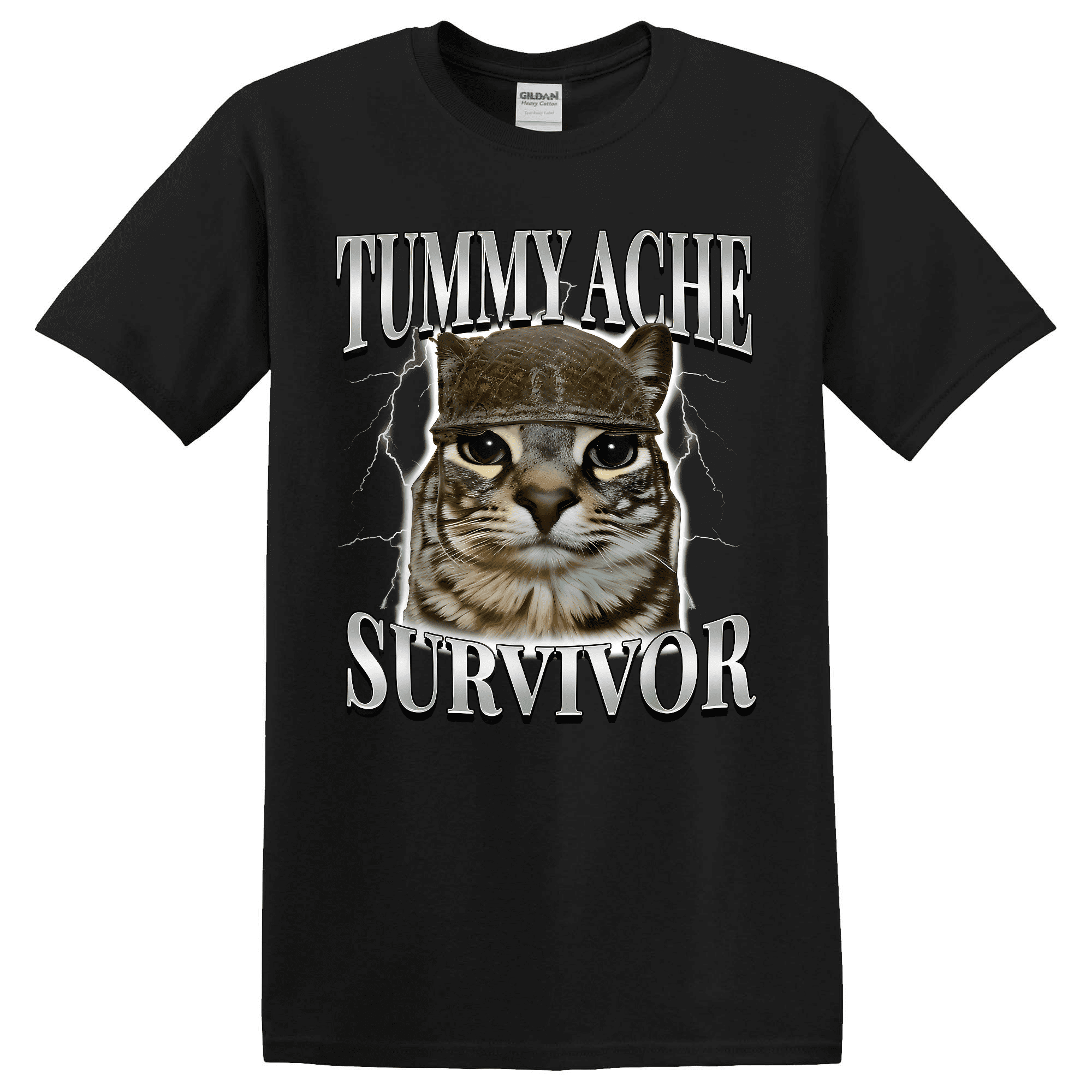 Tummy Ache Survivor Cat Saying Cats Animals T-shirt