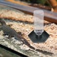thumbnail image 4 of WHAMVOX Plato Automático Para De Reptiles Oscuro Fácil De Limpiar Y Reutilizable, 4 of 8