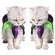 thumbnail image 2 of 2 collares delicados y hermosos para Halloween para mascotas, para fiestas, talla S (negro, verde y morado), 2 of 6