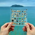 thumbnail image 1 of Acrylic Magnetic Seashell Display Box,Grid Clear Acrylic Seashell,F, 1 of 5