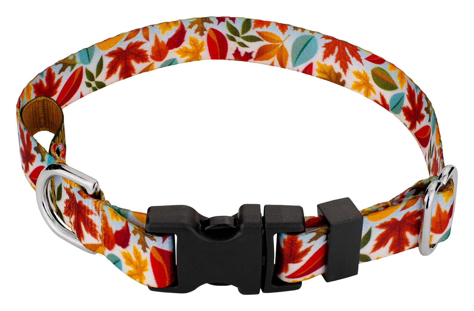 Country Brook Petz® Deluxe Brisk Autumn Dog Collar Made In The U.S.A
