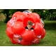 thumbnail image 2 of Lexibook Pelota Inflable Gigante para Jugar Al Aire Libre Roja, 2 of 6
