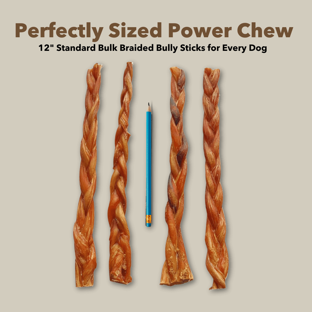12" Monster Braided Bully Sticks Display Box (10 ct) with Individual UPC Tags - 100% All Natural Beef