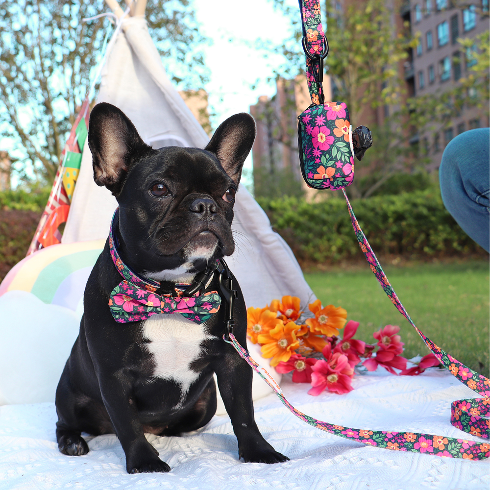 Didog Floral Cute Bowtie Dog Collar & Leash & Poop Bags Holder Adjustabale for Puppy