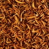 Dried Mealworms-5 lbs.