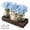 Blue, variant on Mason Jar Table Centerpiece with Wood Tray, LED Lights & Faux Flowers – Orange Farmhouse Decor for Dining Room