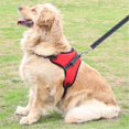 thumbnail image 3 of Pet Dog Adjustable Reflective Chest Harness For Small Medium Large Dogs Anti Pull Strong String, 3 of 5