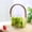 D003- Style C, variant on Fruit Trays for Serving for Party, Clear Glass Sculpted Piece, Collapsible Bucket with Handle, Ice Bucket for Freezer, 6X6 In, 1 Pc