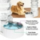 thumbnail image 5 of Bebedero automático para mascotas RIZZARI Gravity de acero inoxidable 8L, 5 of 8