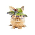 thumbnail image 3 of Loreth, Lanie 15x15 Black Modern Framed Museum Art Print Titled - Trendy Meadow Buddy III (Purple Round Glasses), 3 of 5