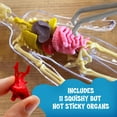 thumbnail image 3 of Thames & Kosmos Ooze Labs: Visible Human Body With Squishable Organs, 3 of 3