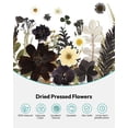 thumbnail image 4 of Kit de flores secas Resiners, juego de 100 piezas prensadas de forma natural, 4 of 9