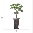 thumbnail image 2 of 63"H Real-touch beauty Bonsai, 2 of 7