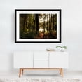 thumbnail image 2 of In the Woods at Puffers Pond, Amherst 01 - Amherst Massachusetts Photography Forest Nature Woodland Lake Autumn Scenic Wilderness Black Framed Wall Art Print 16 x 24 inches, 2 of 4