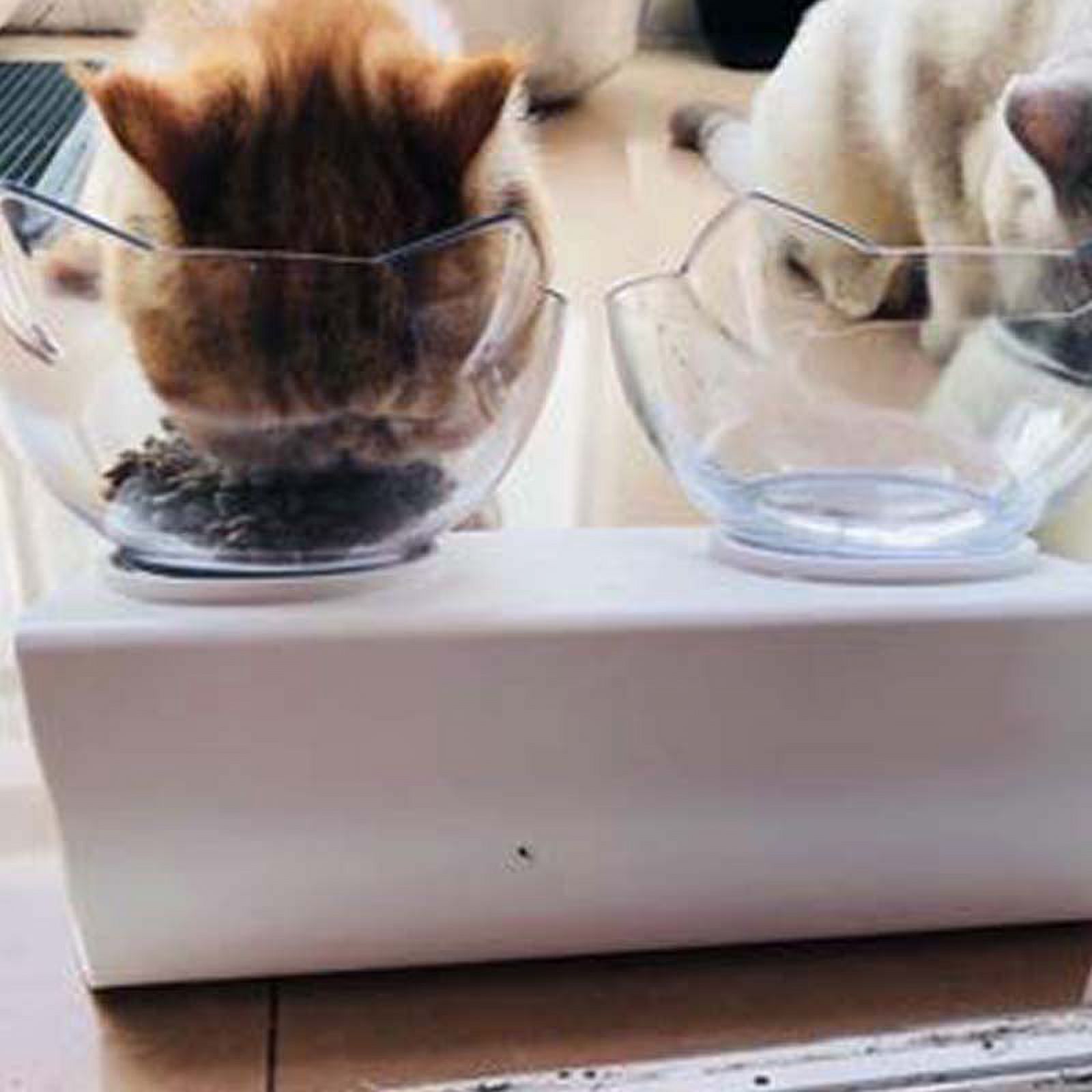 Cat Elevated Bowl,Transparent Cat Bowl With Holder Anti-slip,Pet Feeding Bowl, Raised The Bottom for Cats and Small Dogs, Cute Cat Face Single Double Bowl - image 4 of 9